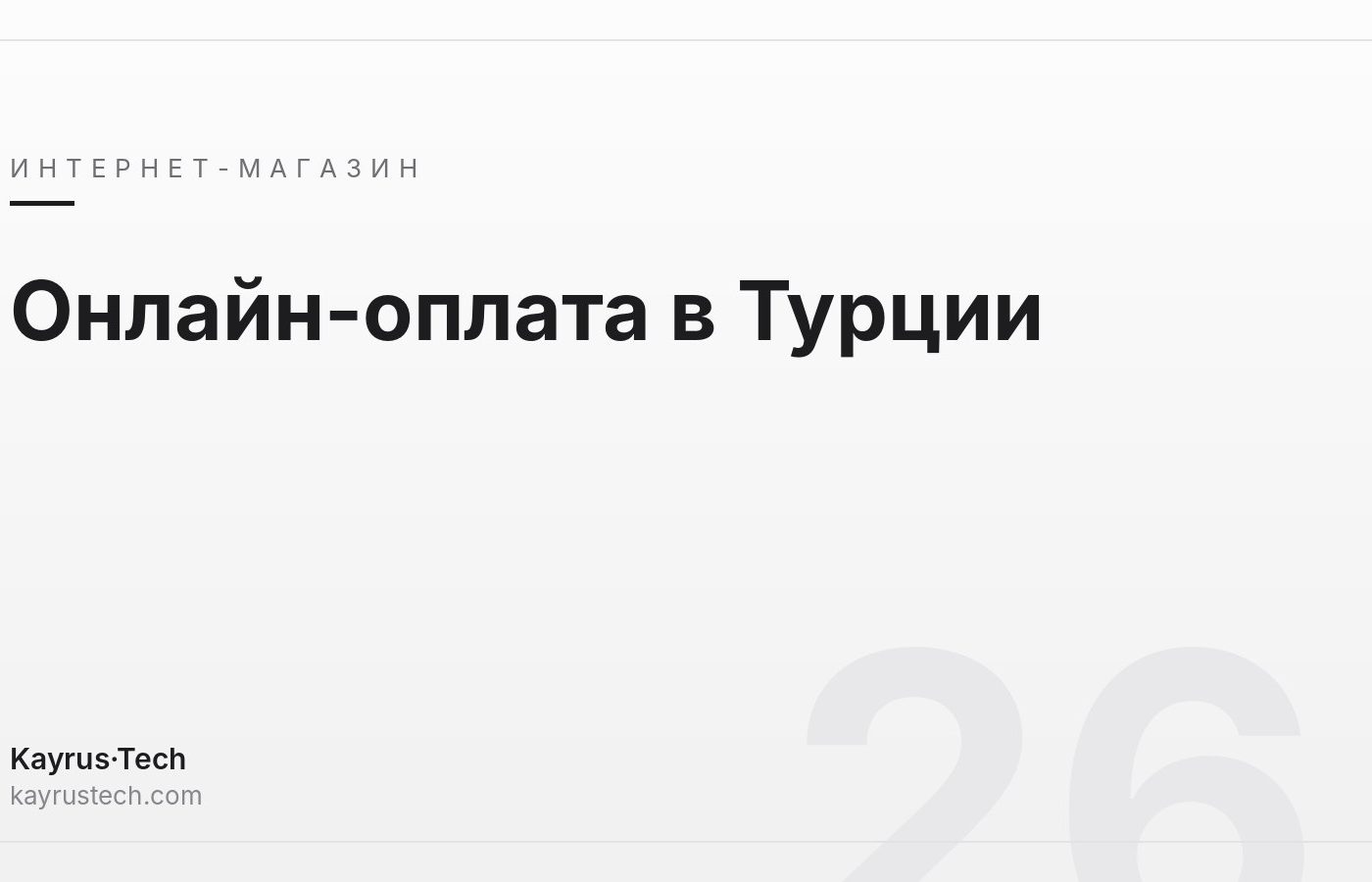 Онлайн-оплата в Турции: чем заменить Stripe и PayPal