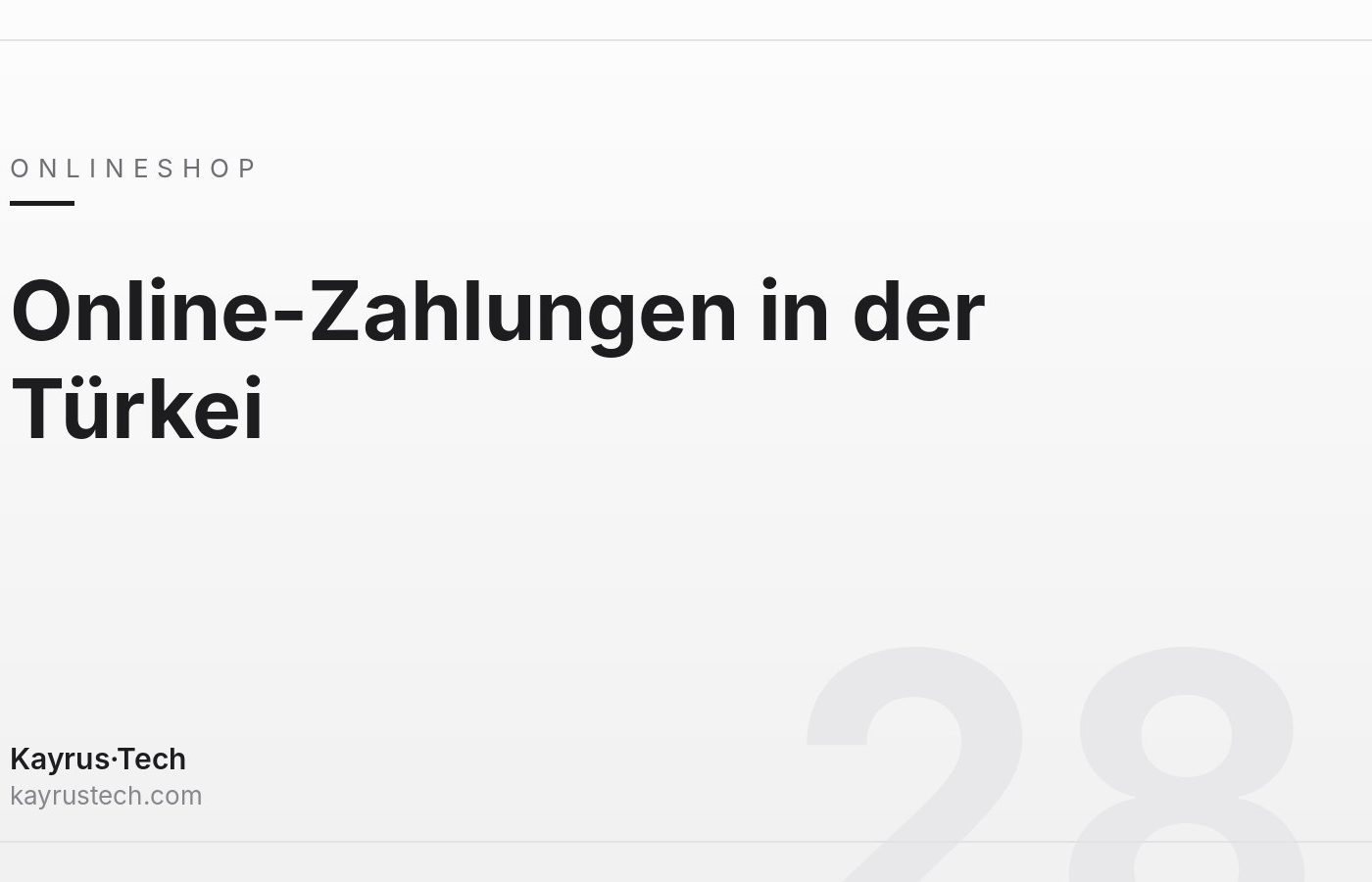 Online-Zahlungen in der Türkei: Alternativen zu Stripe und PayPal für Unternehmer